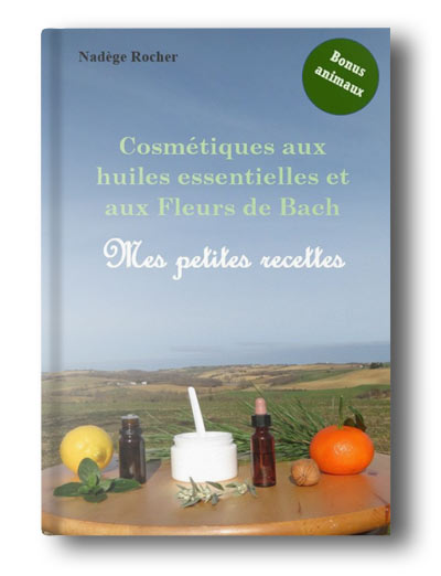 Lisez le livre de mes petites recettes naturelles